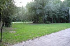 Grasveld voor blokhut